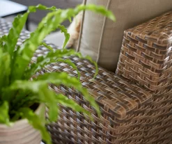 Broyhill Eagle Brooke All-Weather Wicker Cushioned Patio Sofa -Home Style Shop 810452032 810452033 810496528 1