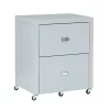 Kari Gray 2-Drawer Rolling Filing Cabinet