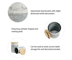 Galvanized Steel & White 2-Piece Metal Storage Stool Set -Home Style Shop 810596862 8