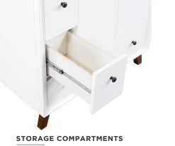 DHP Atwater Living Delias Bathroom Vanity With White Sink -Home Style Shop 810610514 A0